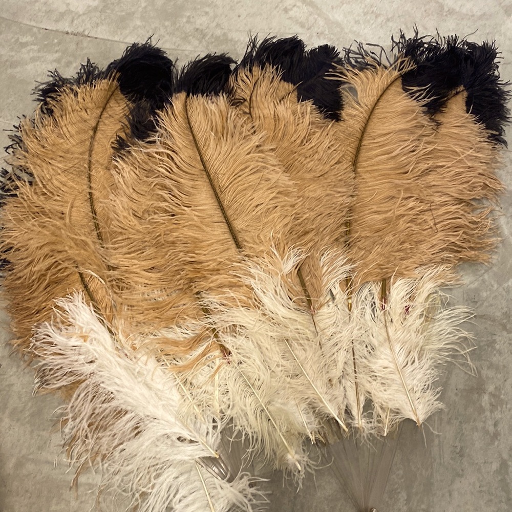 COPY - OSTRICH PLUMES/FEATHERS (for retractable fans / Burlesque performance)
